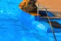 Hotel Terme Park Imperial foto n° 1